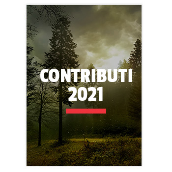 Contributi pubblici 2021